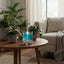 sea_candle_1