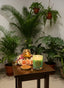 Sandalwood_Candle_Mint_Green_Luxurious_Jar_1