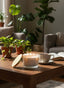 Cedar_Oakmoss_3_wick_scented_candle_1