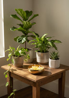 Urli_candle_1