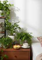 Urli_candle_2