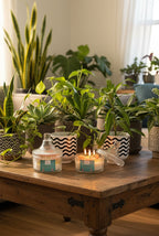 3_wick_lotus_candle_3